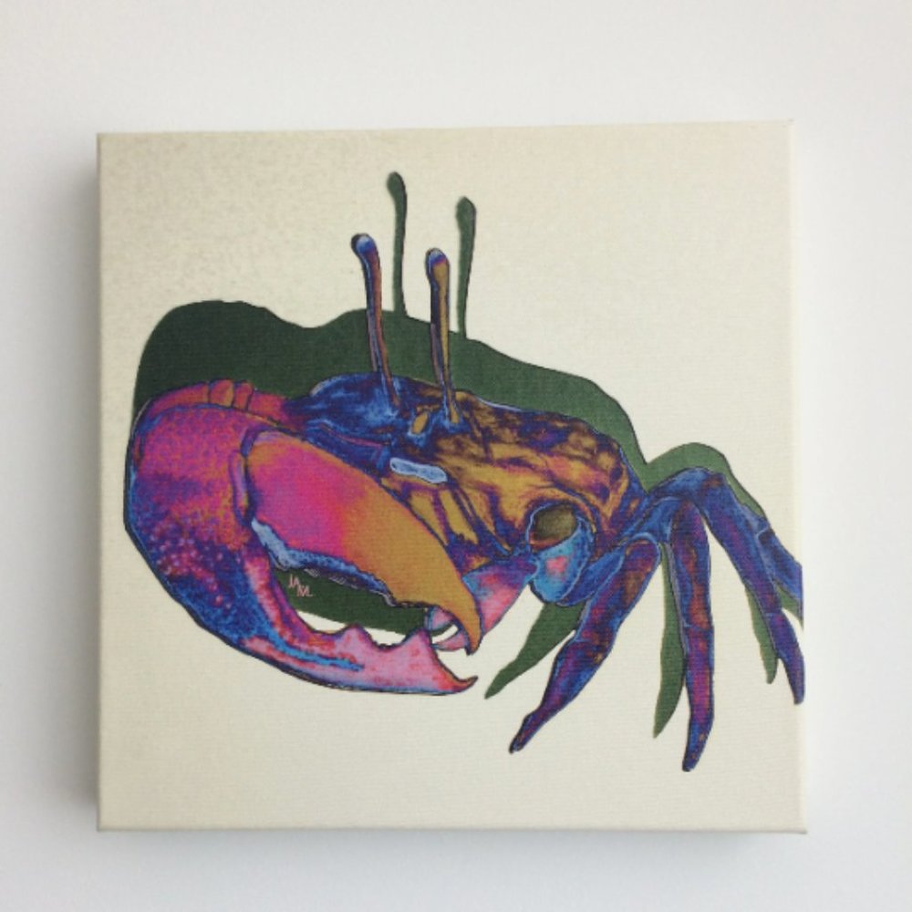 Fiddler Crab - Original Wall Art print on 12 x 12 canvas - Picture 2 of 6